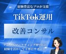 TikTokの運用の改善アドバイスをします プロがTikTokを伸ばすために丁寧に提案をします イメージ1