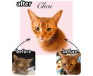 亡くなった愛犬、猫、ペットの似顔絵アートを作ります 写真1枚から本格キャンバスに。虹の橋の子の思い出を形に。 イメージ1