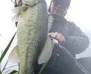 バスプロが柳川クリークの釣り方教えます 柳川クリーク爆釣！SNSで発信していない詳しいキモを解説！ イメージ3