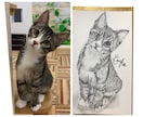 貴方の愛猫描きます 貴方の大好きな愛猫(愛犬)描かせてください！ イメージ2