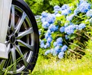 写真レタッチをします カメラの撮影法等も希望で有れば提供出来ればと思います。 イメージ1