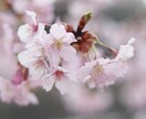 相手に好意を持たれる話し方アドバイスします 異性に好印象を与える話し方を知りたい方向け イメージ2