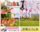 バナー・ヘッダー等Web画像を制作します 売れるバナーが欲しいけど出費は抑えたい…という方へ！ イメージ4