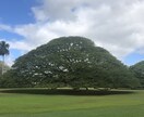 誰にも言えない事を思う存分話して下さい、聴きます 少しでも心を軽くしてくださいな！ イメージ1