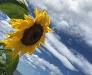 あなたの「ちょうどいい存在」としてここにいます 話したいことを自由に話せる☘あなた時間☘すべて受けとめます♪ イメージ3