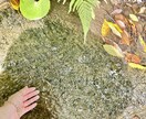 この世は愛で満ちています あなたの中に眠っている光を求めて イメージ1