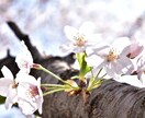 育児相談承ります 現役保育士が育児のさまざまな、お悩みや疑問にお答えします イメージ1