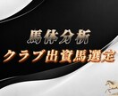 クラブ馬出資選定のお手伝いをいたします 馬体と歩様から将来的な能力や適性などを分析します。 イメージ1