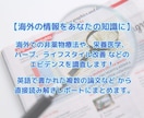眠れない悩みに。米国NDがエビデンスを調査します あなたのための睡眠法を自然療法医が海外論文からまとめます。 イメージ2