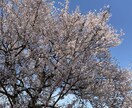 話聞きます なんの話でも構いません。話を聞かせていただきます。 イメージ1
