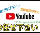 youtubeに関するお悩み困り事、相談のります 現役youtuberが低価格で相談のります。 イメージ1