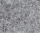 新時代の芸術家が芸術的な絵を特注で描きます 希少で新しいアートデザインを手にいれる特別な機会をあなたに イメージ5