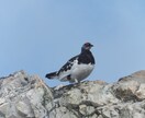 初めての方から登山の相談承ります 初めての方から登山についてプロのガイドが相談を承ります！ イメージ3
