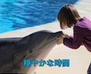 苦しまないでお話して！自分責めはやめられます 心に寄り添い生きやすさを一緒に探してサポートします イメージ8