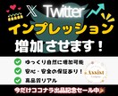 Xのインプレッションを増加させます 期間限定で1月15日まで特別価格にて出品中！ イメージ1