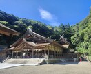 吉凶鑑定15回！お好きな時の吉凶鑑定します あなたの希望の時15回分の吉凶をプロが占います！ イメージ1