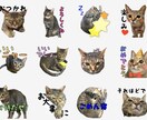 お子様やペットの写真でLINEスタンプ作ります ママ友さんに好評☆可愛いLINEスタンプお作りします イメージ1