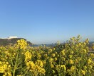 自分のやりたい事が分からない人、一緒に見つけます 本当に自分のやりたい事って何？のモヤモヤ解消します^ ^ イメージ1