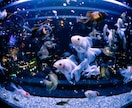 高クォリティーな写真の撮影を代行します 広告写真基準の機材で高クォリティーな写真を提供いたします。 イメージ5