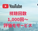Youtubeで再生回数1000～増やします 世界のユーザに拡散！ユーチューブ多国籍の視聴回数増加！ イメージ1