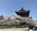 女性限定!2度の離婚経験から1分でもお聞きします 年齢制限はありません。子育て•離婚•不倫でお悩み方 イメージ1