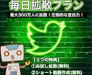 Twitterで毎日拡散宣伝します Twitterで毎日宣伝するならこのプラン！ イメージ1