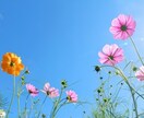 気になる彼の心理♡真摯に受け止め丁寧にお答えします 男性心理|好意|LINE|しぐさ|ボディタッチ|態度 イメージ8