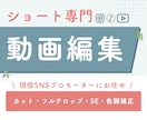 ショート動画専門★SNS用動画編集代行します 現役SNSプロモーター&FW2万人のリアルな実績から制作！ イメージ1