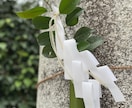 2024年❗あなたにどんないいことがある？占います アカシックの力も使ったオラクルカードでメッセージもらいます！ イメージ2