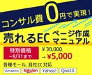 EC(モール/自社)売上UPの具体的手法を教えます 企業様に行うコンサルレクチャー約3回分の内容を凝縮した教材 イメージ1