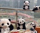 中国旅行・現地事情を具体的にアドバイスします 日本語・中国語ネイティブ｜在住経験ありで安心 イメージ4