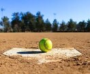 ソフトボールの技術指導いたします 日本リーグ経験者/選抜大会や国体等日本一経験あり イメージ1