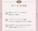 スモールアカウント専門でインスタコンサルをします 実績ありのコンサルタントが今後何をしたら良いかお伝えします イメージ3