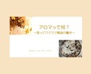 アロマ初心者さんにやさしい動画コンテンツ提供します 【アロマの知りたいことをまとめた合計約６０分の動画です】 イメージ1