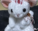 ぬいぐるみ制作致します オリジナルぬいぐるみ制作します イメージ7