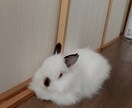 1人で悩まないで！気持ちに寄り添い癒します 泣いてもいいんです。心のマッサージをさせて頂きます。 イメージ1