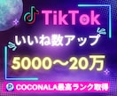TikTokのいいねと再生数を増加します TikTokいいね＋再生数増加！アカウント強化にオススメ！ イメージ1
