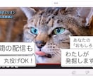 視聴者を1秒も飽きさせない映像を制作します SNSが伸びず悩んでいる方、ご相談ください イメージ6