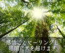 ネガティブ感情のブロックを解除し波動調整を致します あなたの心の闇に光を届け感情ごと癒してエネルギーを解放します イメージ4
