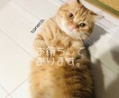 問題をより深く分析し、具体的な対策を占います あなたも気づいていない、心の奥を読み解きます… ☆ イメージ1