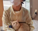 お話したい方限定     にこにことお話します 優しい20代主婦があなたの味方になりますよ(*´︶`*) イメージ2