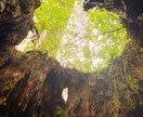 旅行計画が面倒な方へ！代わりに旅行計画立てます 色んなサイトを検討して1番安いプランを提供します！ イメージ2