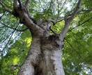 心の共有します 助けてって言って大丈夫です世界には大好きが溢れています。 イメージ3