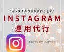 インスタのプロがSNS運用代行をします SNS・GBP　月35件の運用実績あり！ イメージ1
