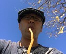 ご相談にのります 人生経験が豊富です。ひとの悩みを聞くことに長けています。 イメージ1