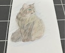 写真をもとに犬か猫の似顔絵を描きます できるだけリアルに描くようにします。 イメージ3
