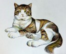 原画郵送✳︎動物を透明水彩や色鉛筆で描きます お好きな動物や愛するペットなど何でも描きます！ イメージ6