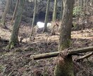愚痴聞きます 1時間‼️溜め込んでること、辛いことを吐き出してみませんか？ イメージ1