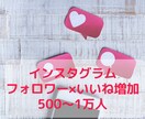 インスタグラムのフォロワーといいね増やします フォロワーといいねをそれぞれ500ずつ以上増加 イメージ1