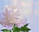 数秘術占い鑑定でご自身の特性や自己分析が出来ます 数秘術で人生がより軽やかになるお手伝いを致します イメージ1